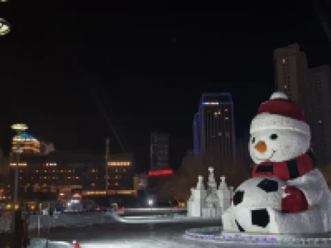 ハルビン湖景嘉華ホテル（陳金體育俱樂部）