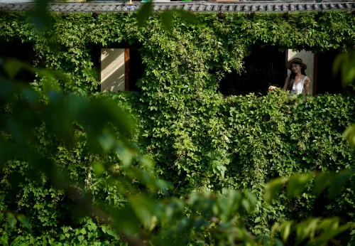 Tonglu Shuli · TREE VILLA · Mountain View Resort Homestay - 3 ดาว
