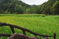 Wild Clay Cottage - vue sur la montagne