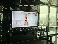 Louis Hotel Chengdu - Gym