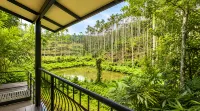 Amritara Dominic's Nature Retreat & Spa Wayanad - Spa