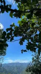 BambooZinc Campstay, Pekan Nabalu - Haustierfreundliche