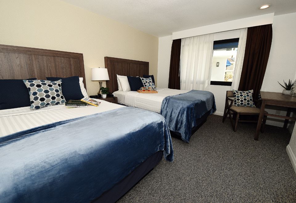 5. 서린 어 베가스..