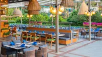 Arum Barut Collection - Ultra All Inclusive - bar