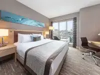 Park Dedeman Bostanci Hotel Hotels near Hilltown Avm