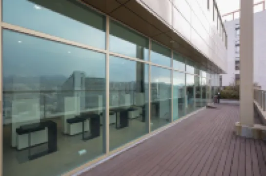 新設紅樹林酒店 東大門區酒店