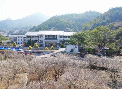 螺洞世外梅園人文客棧