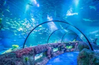 New World Shenyang Hotel - Romantic