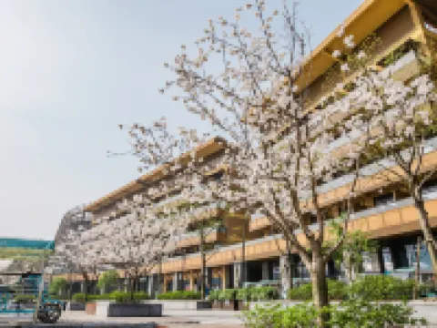 Mogan Mountain Senbo nature park&resort Hoteles en Deqing