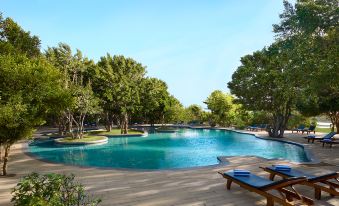 Cinnamon Wild Yala