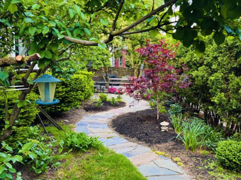 Ginkgo House On Harvard