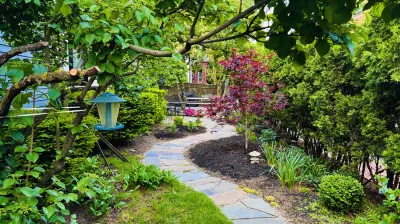 Ginkgo House On Harvard Hotels in Cambridge