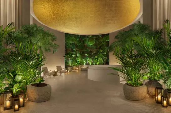 The Singapore EDITION