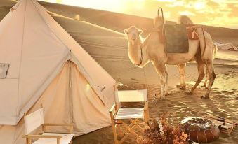 Dunhuang Fanting • Family Vacation Stargazing Homestay