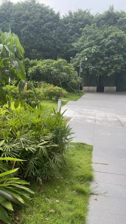 B T Miele Executive Apartment (Shenzhen Sungang Zhongzhouxuan Branch)