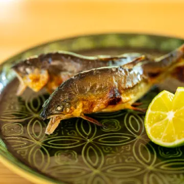 Okunikko Yumoto Onsen Yunomori