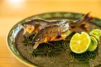 Okunikko Yumoto Onsen Yunomori