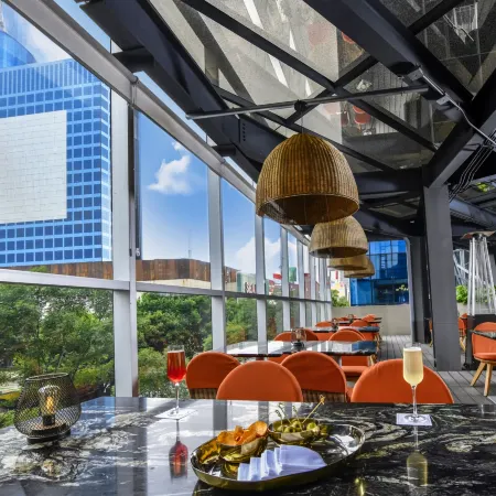 Hyatt Regency Mexico City Insurgentes Отели рядом с достопримечательностью «Наполес»