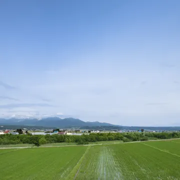 Furano Lookout