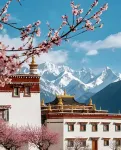 Elong Anyue Hotel (Nyingchi Xueyu Jiangnan Niyanghe Scenic Area) - Bergblick