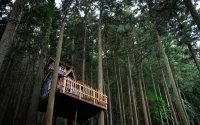 Mieux forest Hôtels à : 