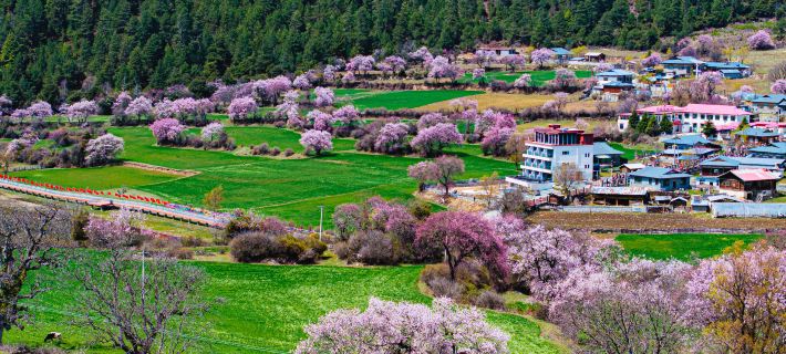 Shuye ・ Intangible Heritage Secluded Mountain Lodge Hoteles en Bome