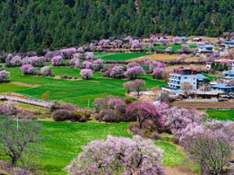 Shuye ・ Intangible Heritage Secluded Mountain Lodge