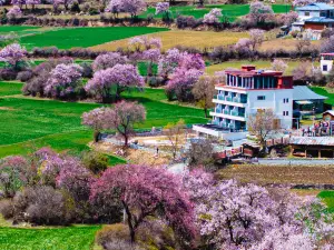 Popular Vacation Homes in Bome