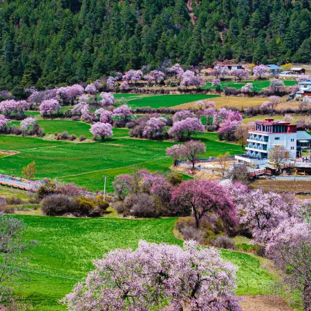 Shuye ・ Intangible Heritage Secluded Mountain Lodge