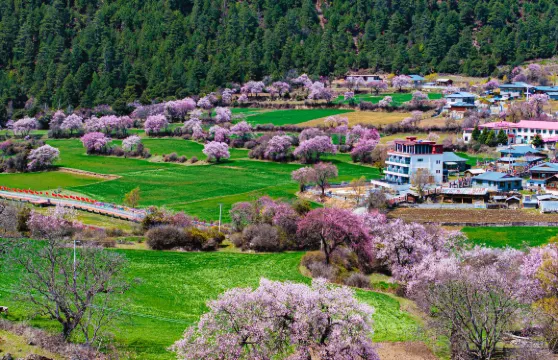 述野・非遺隱世山居