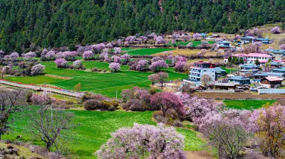 波密隱世山居非遺酒店