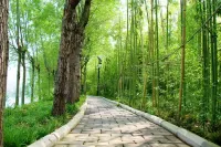 Yingzhigu Holiday Hotel Các khách sạn ở Mông Âm