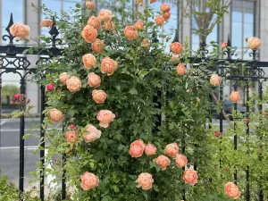 Dongming Shuiyi Kunpeng Hotel