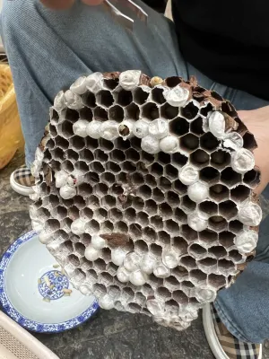 Zhangjiajie Ldyllic Pondside Timber Lodge Leisure & Recreation Photos