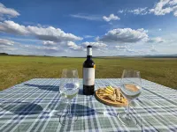 1000 Starlight Steppe Camp Hotels in Erdenesant