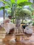 Songxi Binnan Homestay - 2 stelle