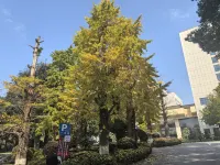 Crystal Hotel Shiyan BaiQiang - 마운틴 뷰