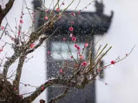 山海關58號民宿（長城文博店） 鄰近孟姜女廟的酒店