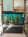 維也納飯店（朝陽慕容街興隆店） - 3 星級