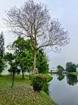 Kajang Country Villas G5 3BR Retreat - 4 stjerner