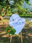 Guangzhou Conghua Tianyu Xiaoyuan Boutique Homestay - Private Pools