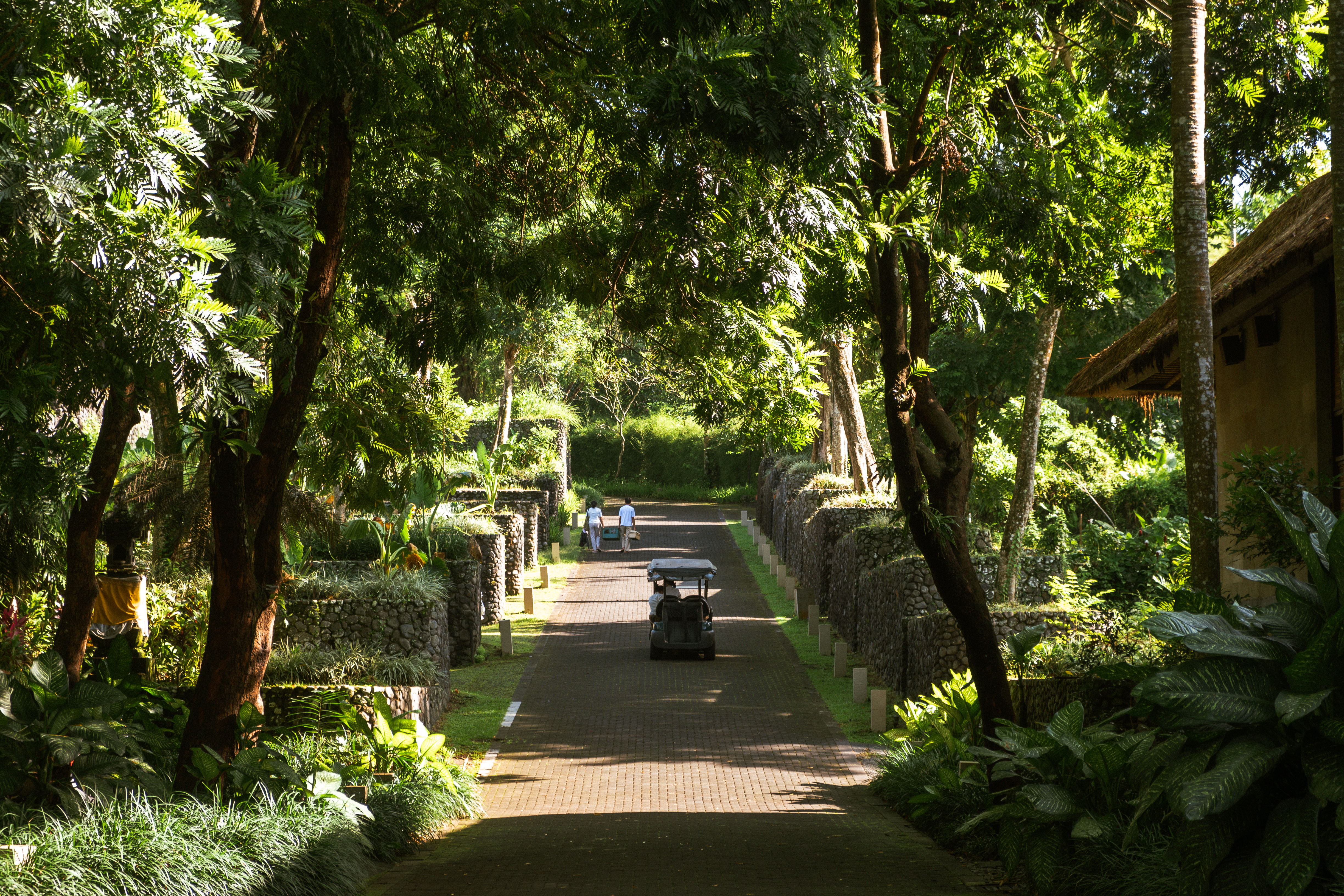 Alila Ubud Over view