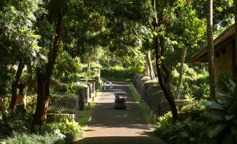 Alila Ubud