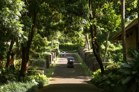 Alila Ubud Отели рядом с достопримечательностью «Ubud Kajeng Rice Fields Walk»