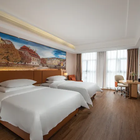 Vienna Hotel (Heyuan High-tech Zone Branch)