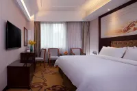 Vienna Hotel (Jishou Railway Station)