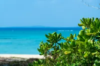 UMITO OKINAWA ONNASON