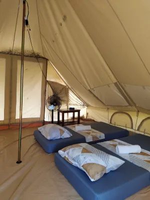 The Acacia Glamping Park Hôtels à : Carmen