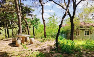 Shenyang Qipanshan Xiaolinjian Light Luxury Homestay 치판산/기반산-스보위안/세계원예박람원 호텔