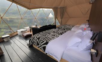 Half Day Away City Ancient Tree Mine Camping Hotel